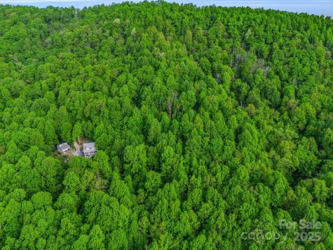 87 Pole Cat Road Saluda NC 28773