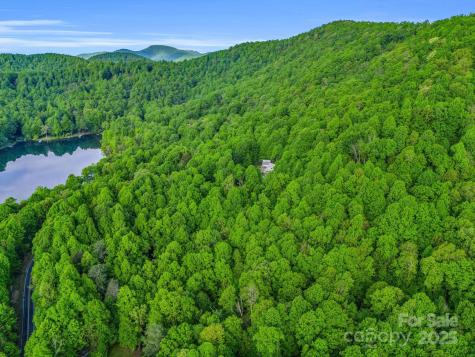 87 Pole Cat Road Saluda NC 28773