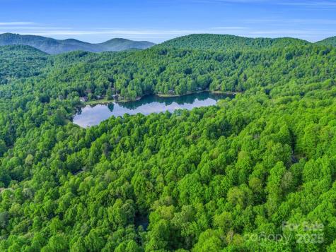 87 Pole Cat Road Saluda NC 28773