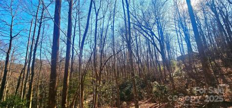 87 Pole Cat Road Saluda NC 28773