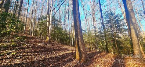 87 Pole Cat Road Saluda NC 28773