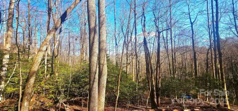 87 Pole Cat Road Saluda NC 28773