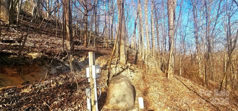 87 Pole Cat Road Saluda NC 28773