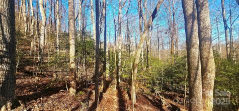 87 Pole Cat Road Saluda NC 28773