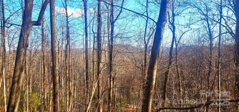 87 Pole Cat Road Saluda NC 28773