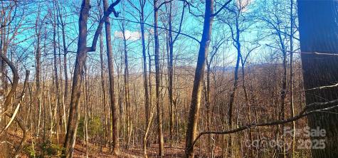 87 Pole Cat Road Saluda NC 28773