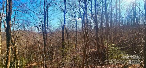 87 Pole Cat Road Saluda NC 28773