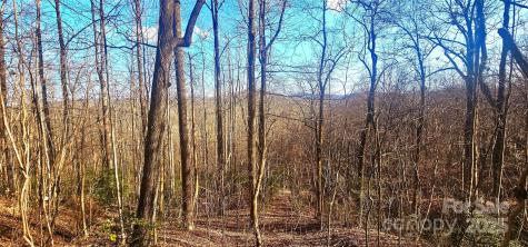 87 Pole Cat Road Saluda NC 28773