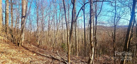 87 Pole Cat Road Saluda NC 28773