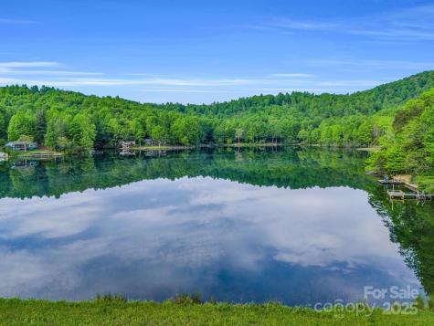 87 Pole Cat Road Saluda NC 28773