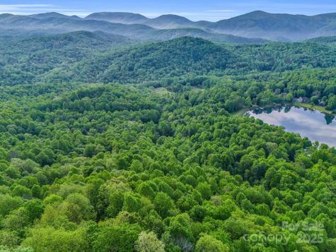 87 Pole Cat Road Saluda NC 28773