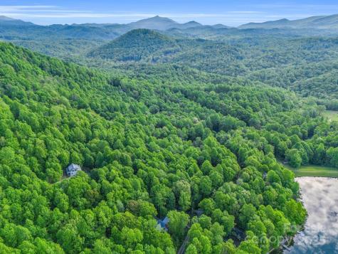 87 Pole Cat Road Saluda NC 28773