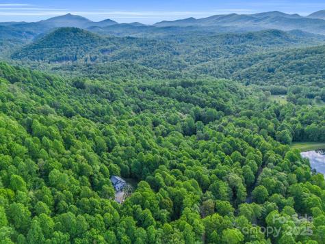 87 Pole Cat Road Saluda NC 28773