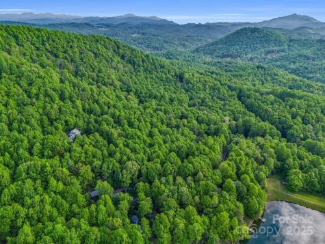 87 Pole Cat Road Saluda NC 28773