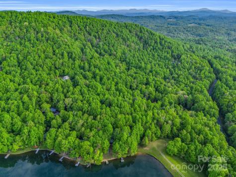 87 Pole Cat Road Saluda NC 28773