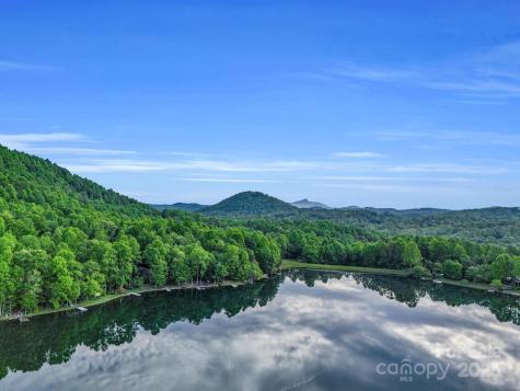 87 Pole Cat Road Saluda NC 28773