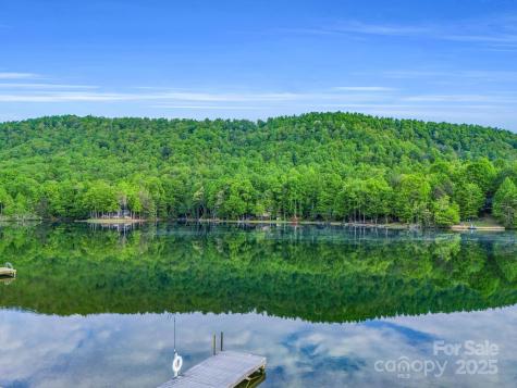 87 Pole Cat Road Saluda NC 28773