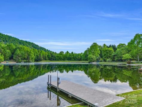 87 Pole Cat Road Saluda NC 28773