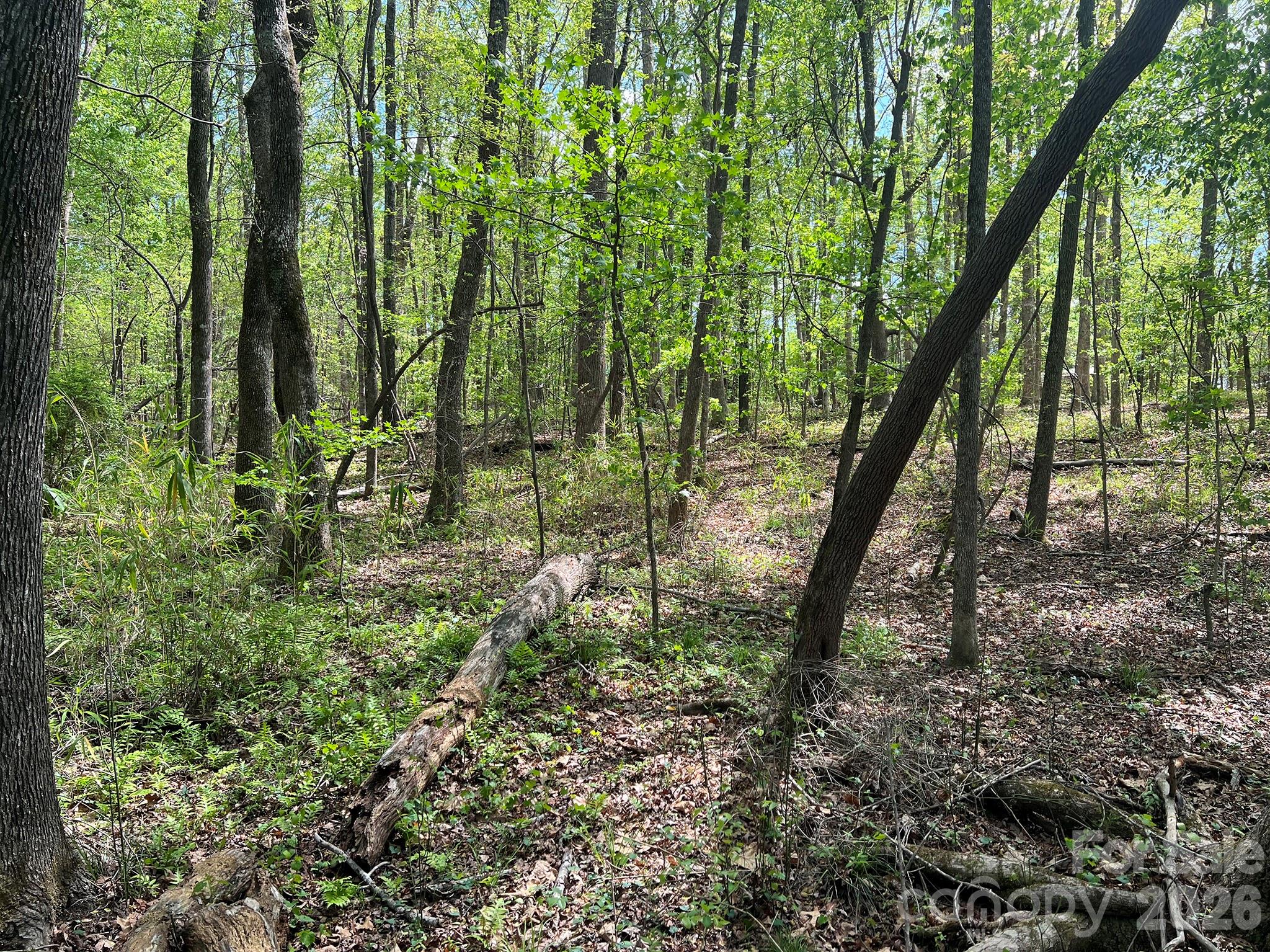 623 Mystic Way Lane Waxhaw NC 28173
