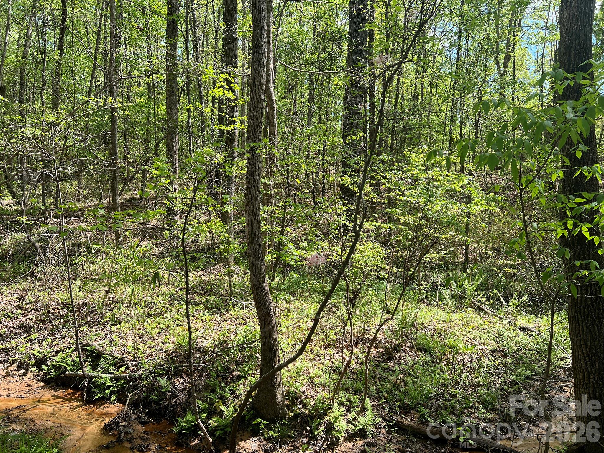 623 Mystic Way Lane Waxhaw NC 28173