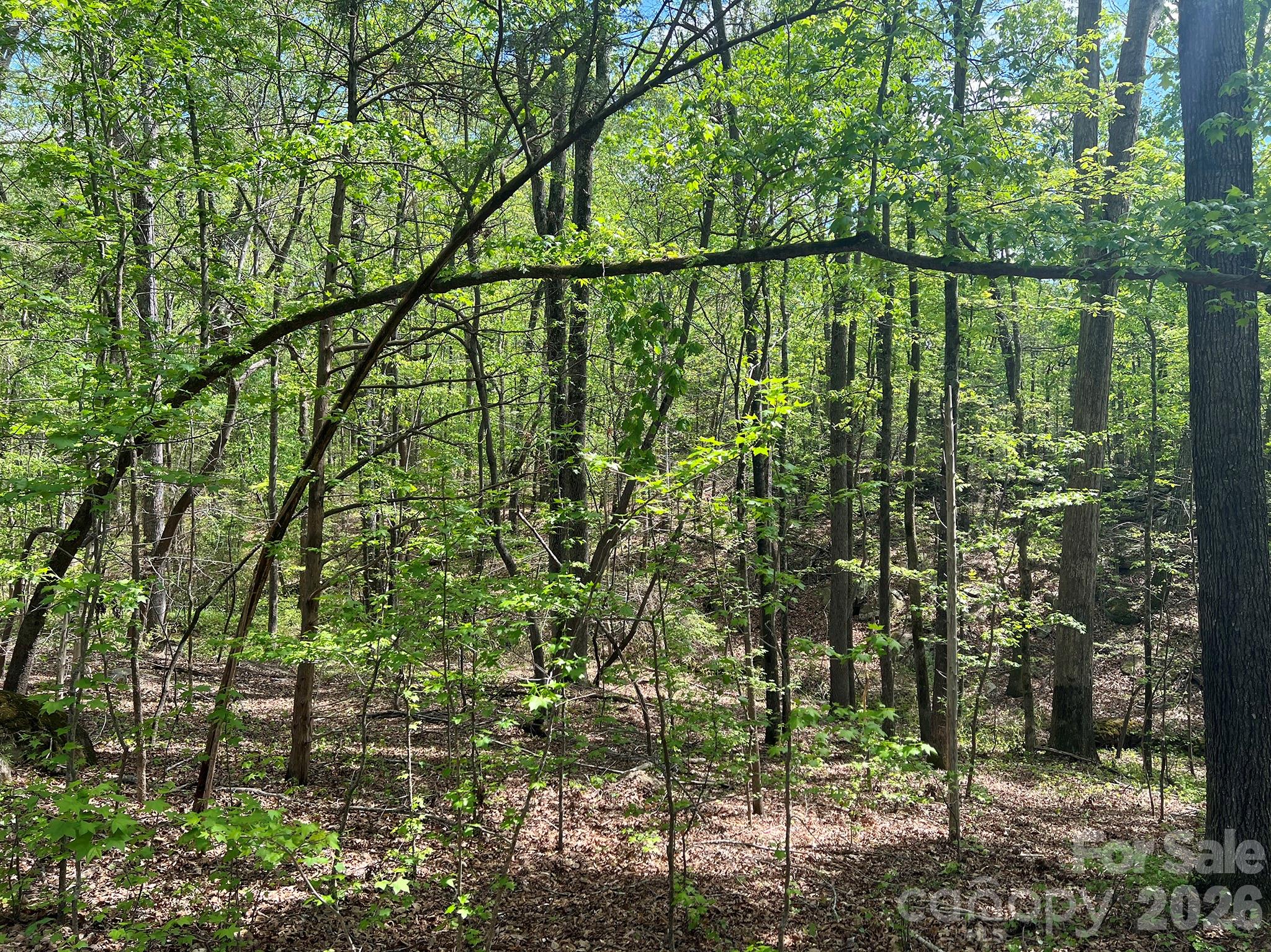 623 Mystic Way Lane Waxhaw NC 28173