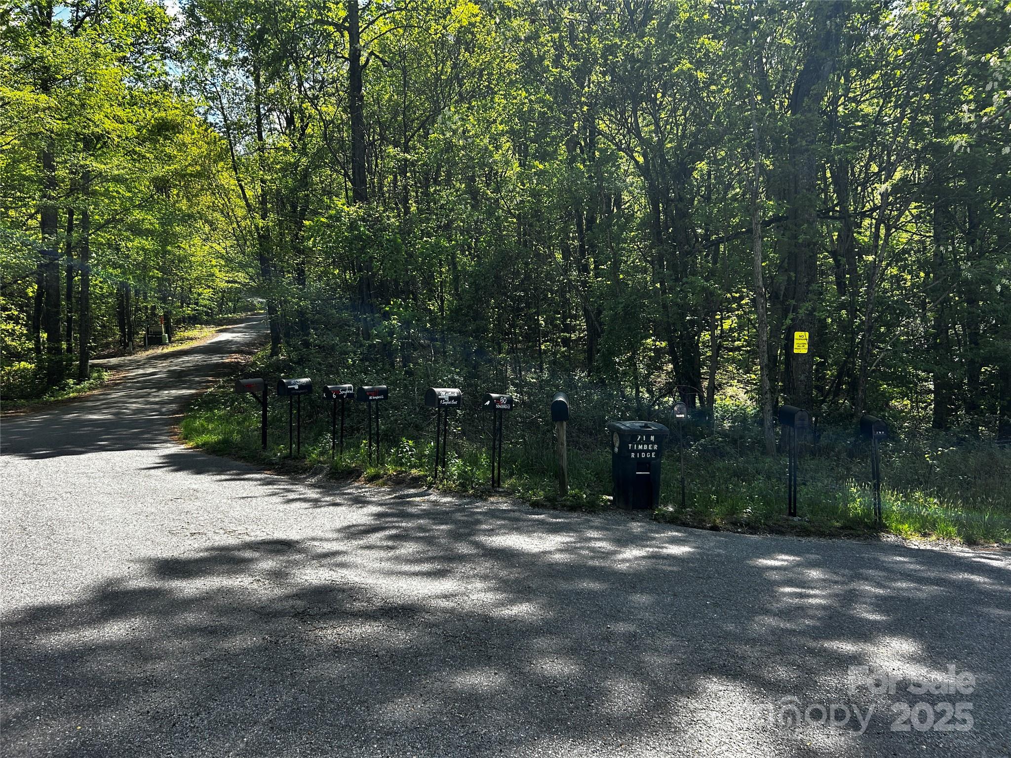 0 No S Timber Ridge Drive Hendersonville NC 28792