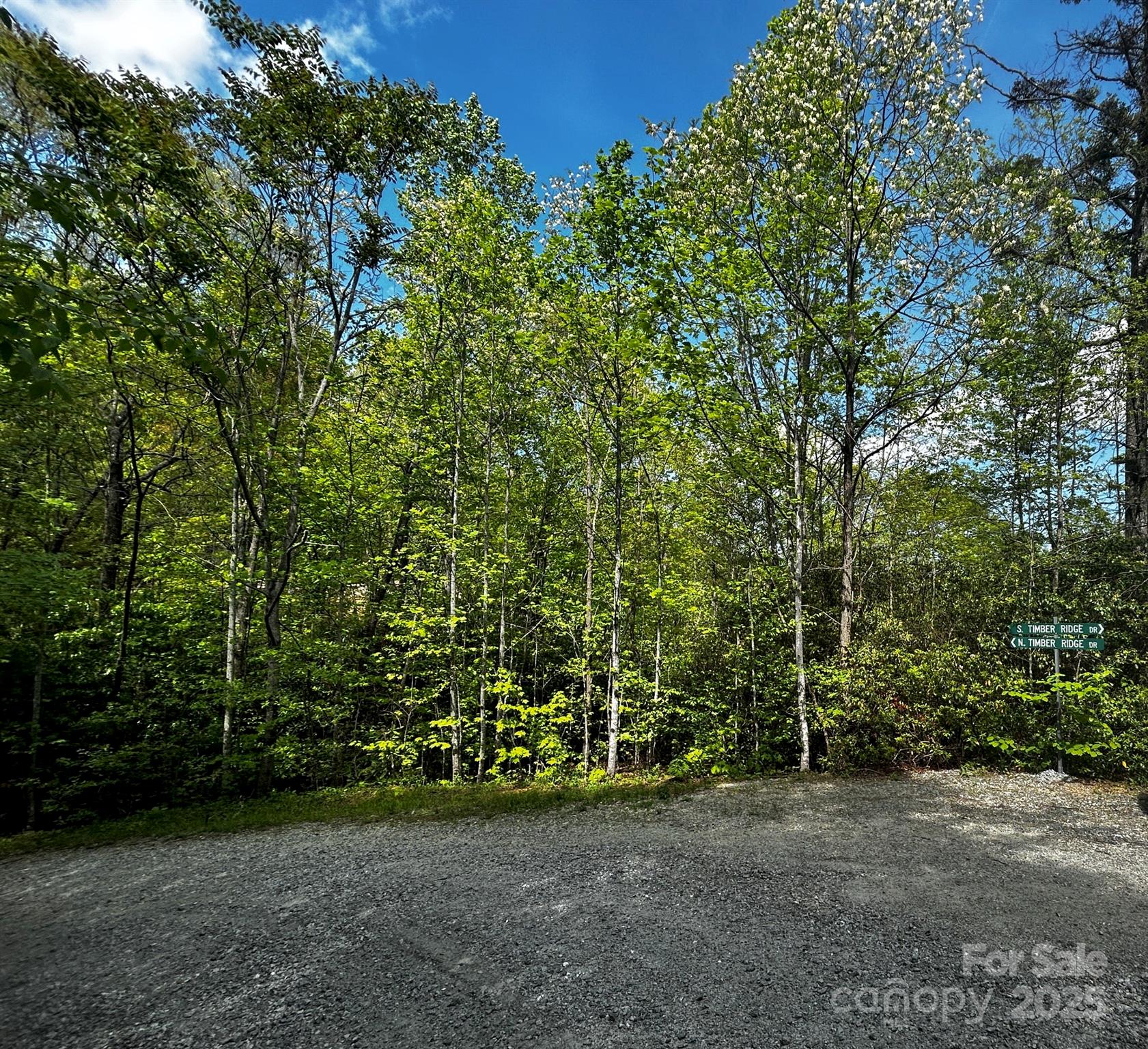 0 No S Timber Ridge Drive Hendersonville NC 28792