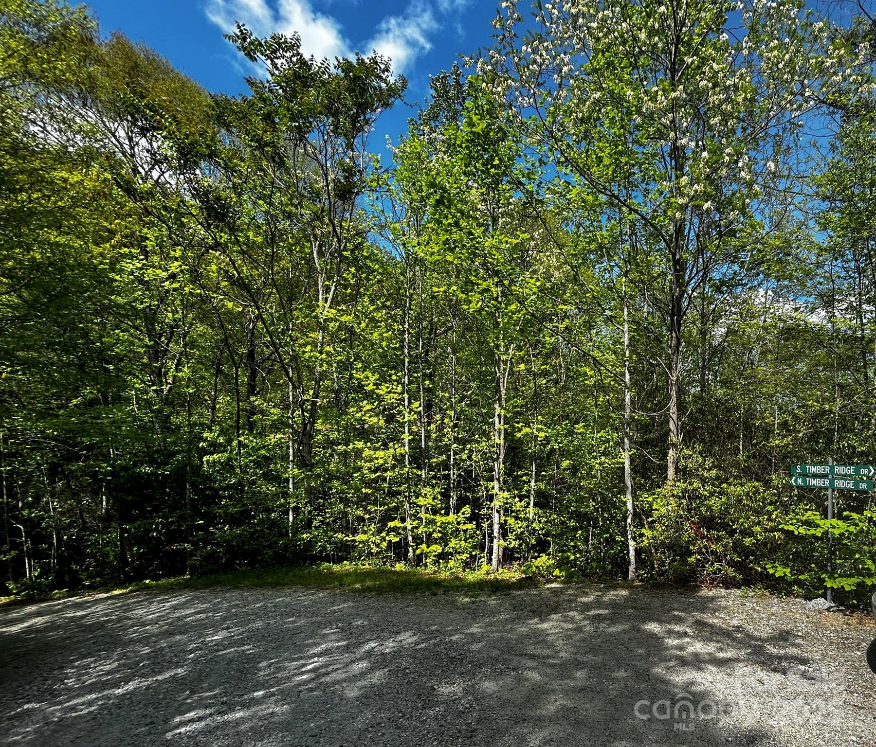 0 No S Timber Ridge Drive Hendersonville NC 28792