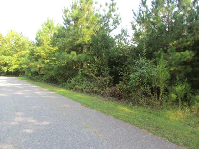 Beside 52 Moser Circle Taylorsville NC 28681