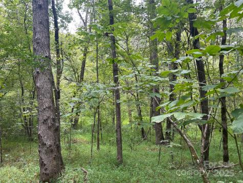 3485 Cedar Circle Road Lancaster SC 29720