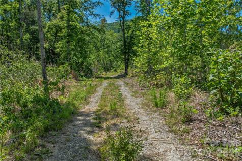 180 Fat Wall Road Marion NC 28752