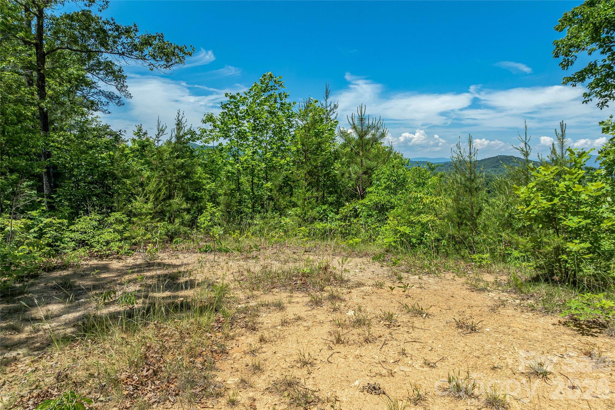 180 Fat Wall Road Marion NC 28752