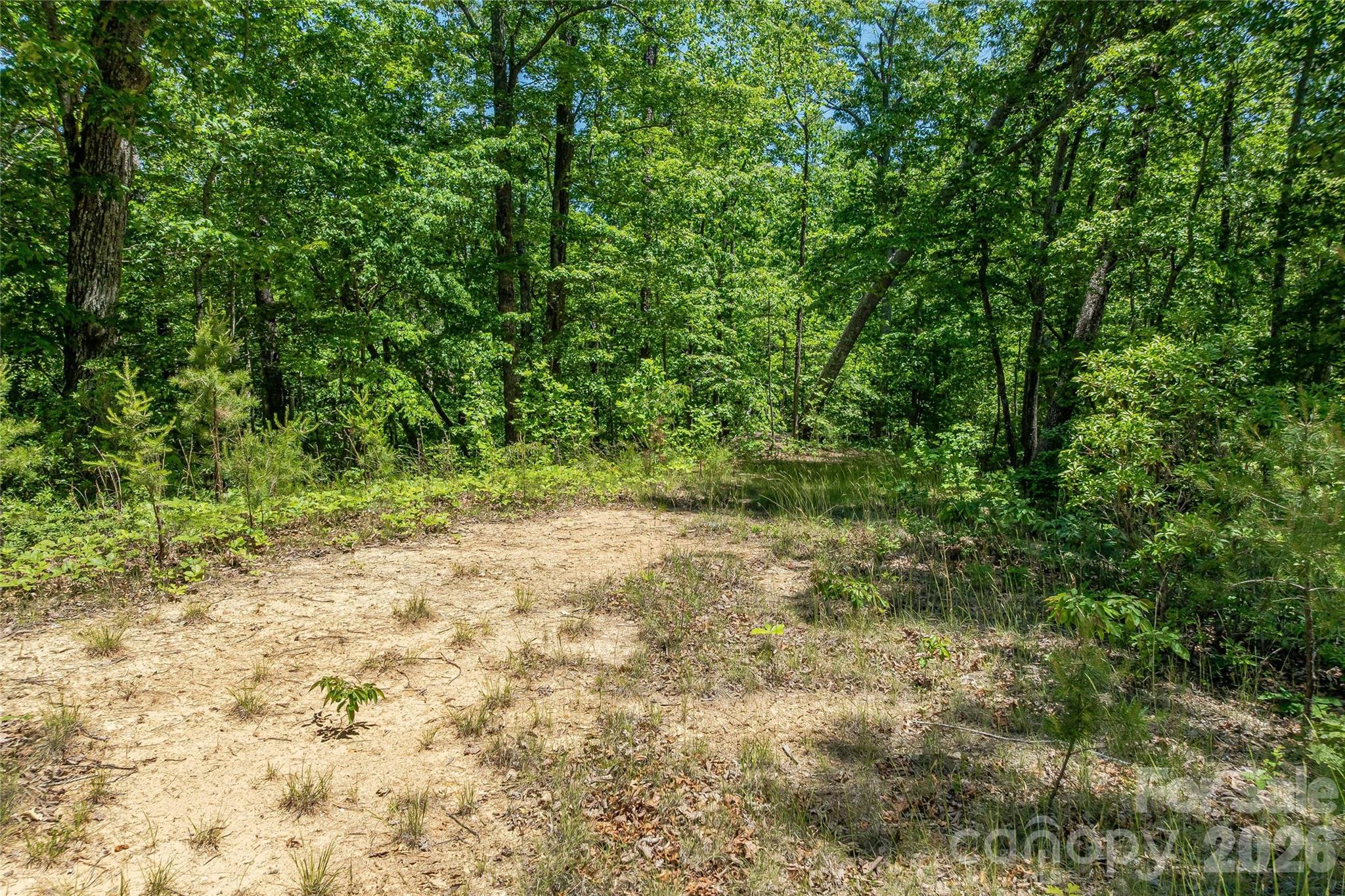 180 Fat Wall Road Marion NC 28752