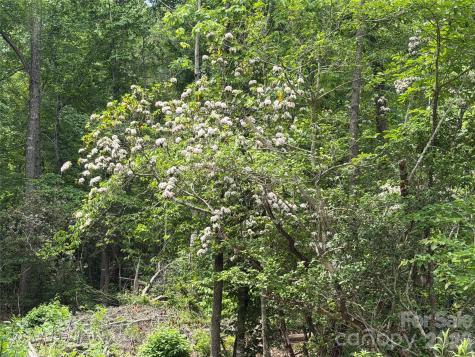 180 Fat Wall Road Marion NC 28752