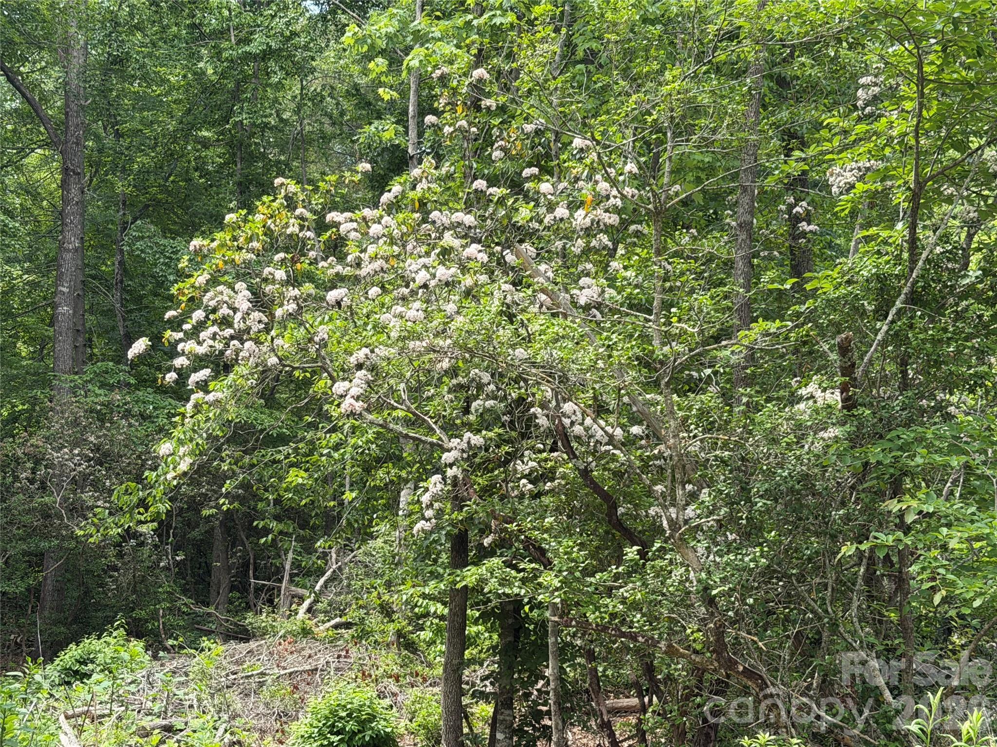 180 Fat Wall Road Marion NC 28752
