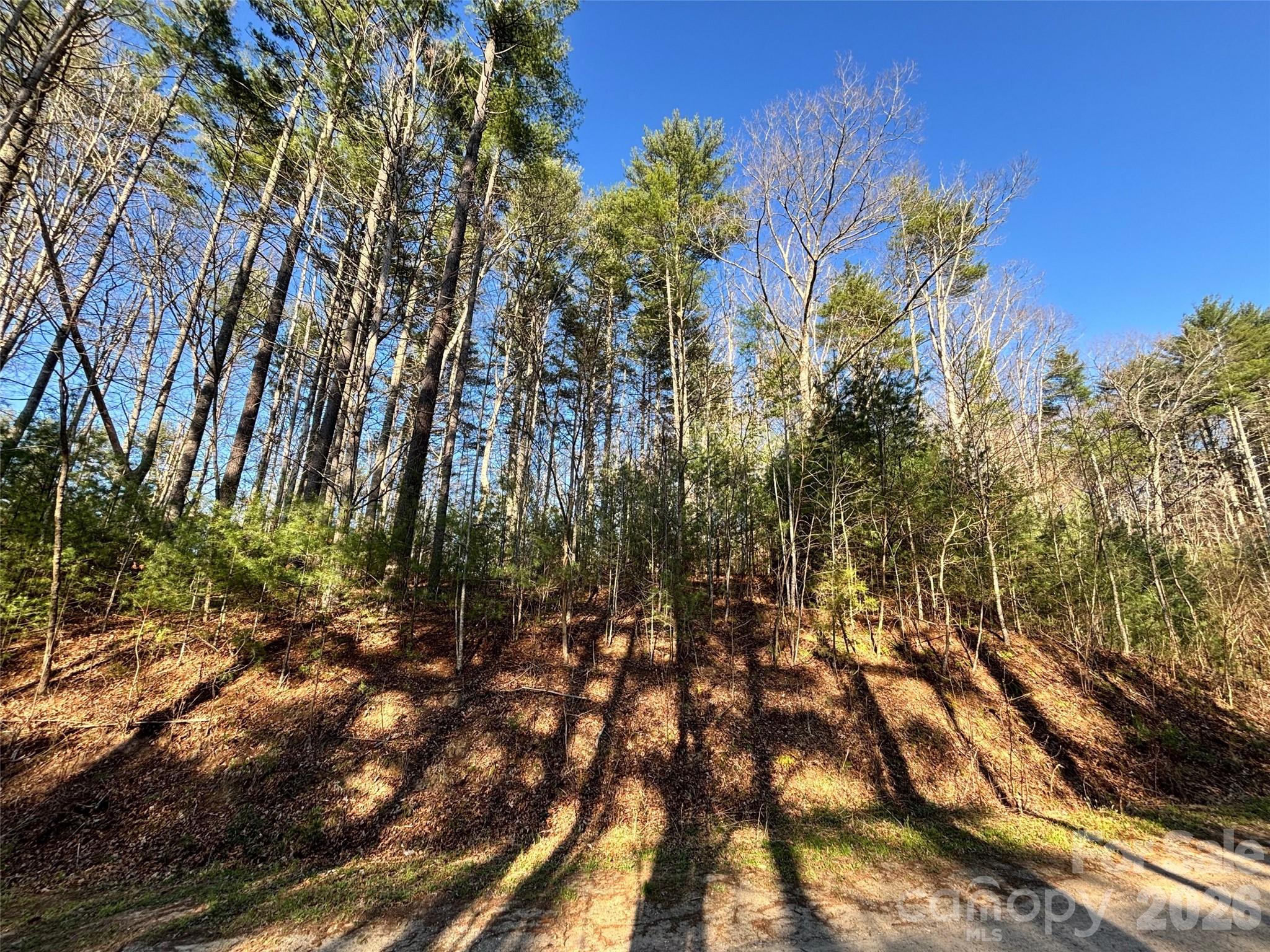 11 Wildlife Drive Clyde NC 28721