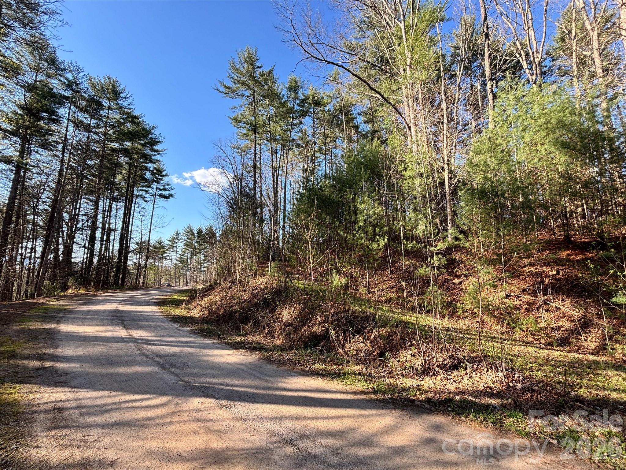 11 Wildlife Drive Clyde NC 28721