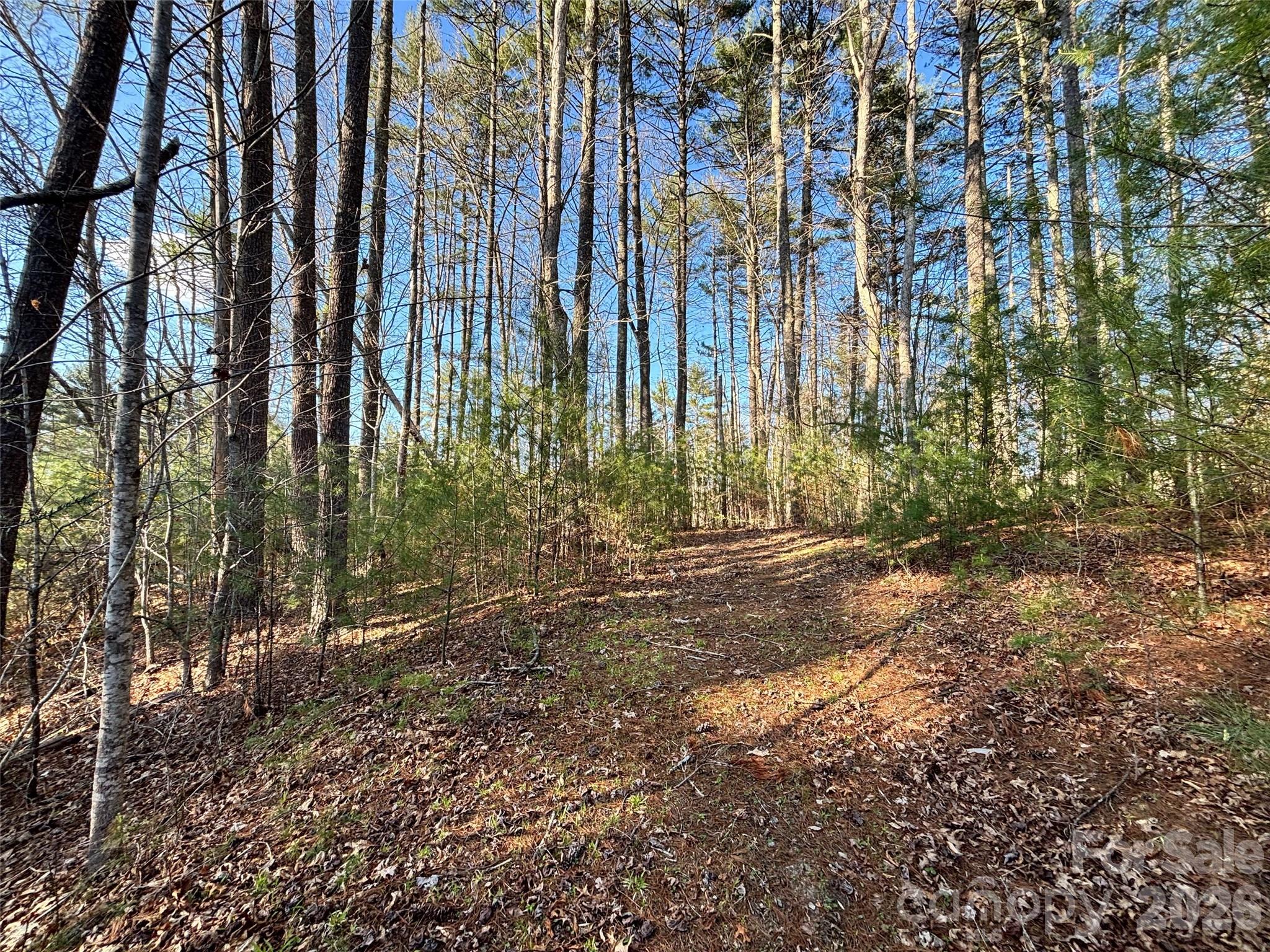 11 Wildlife Drive Clyde NC 28721