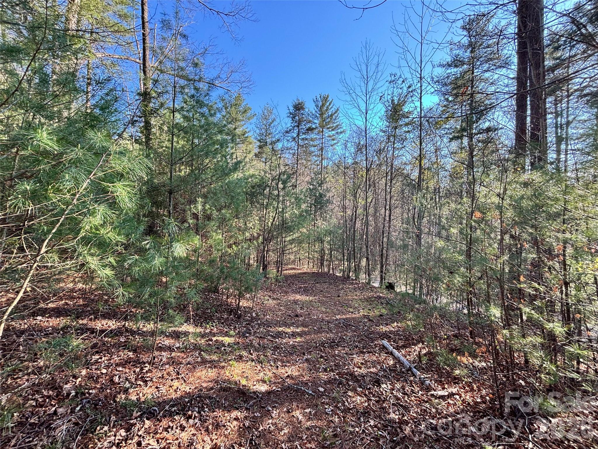 11 Wildlife Drive Clyde NC 28721