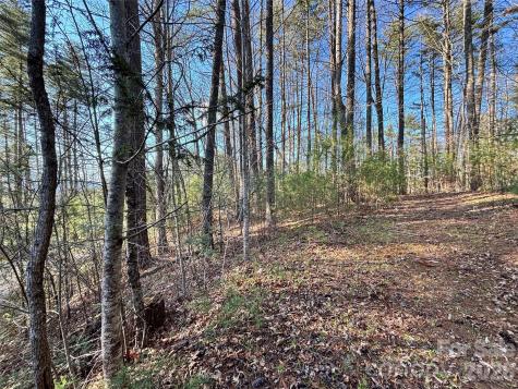 11 Wildlife Drive Clyde NC 28721