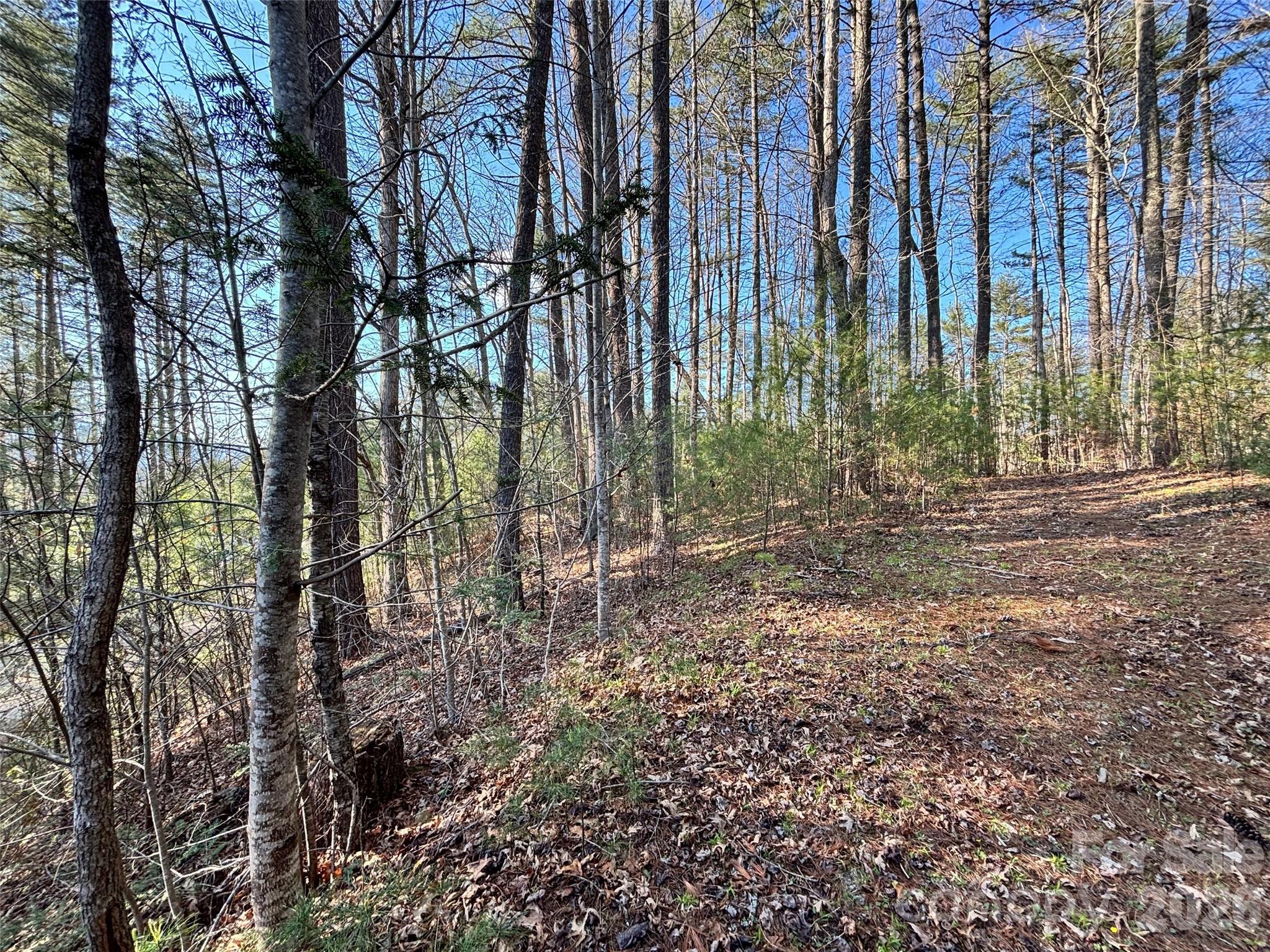 11 Wildlife Drive Clyde NC 28721