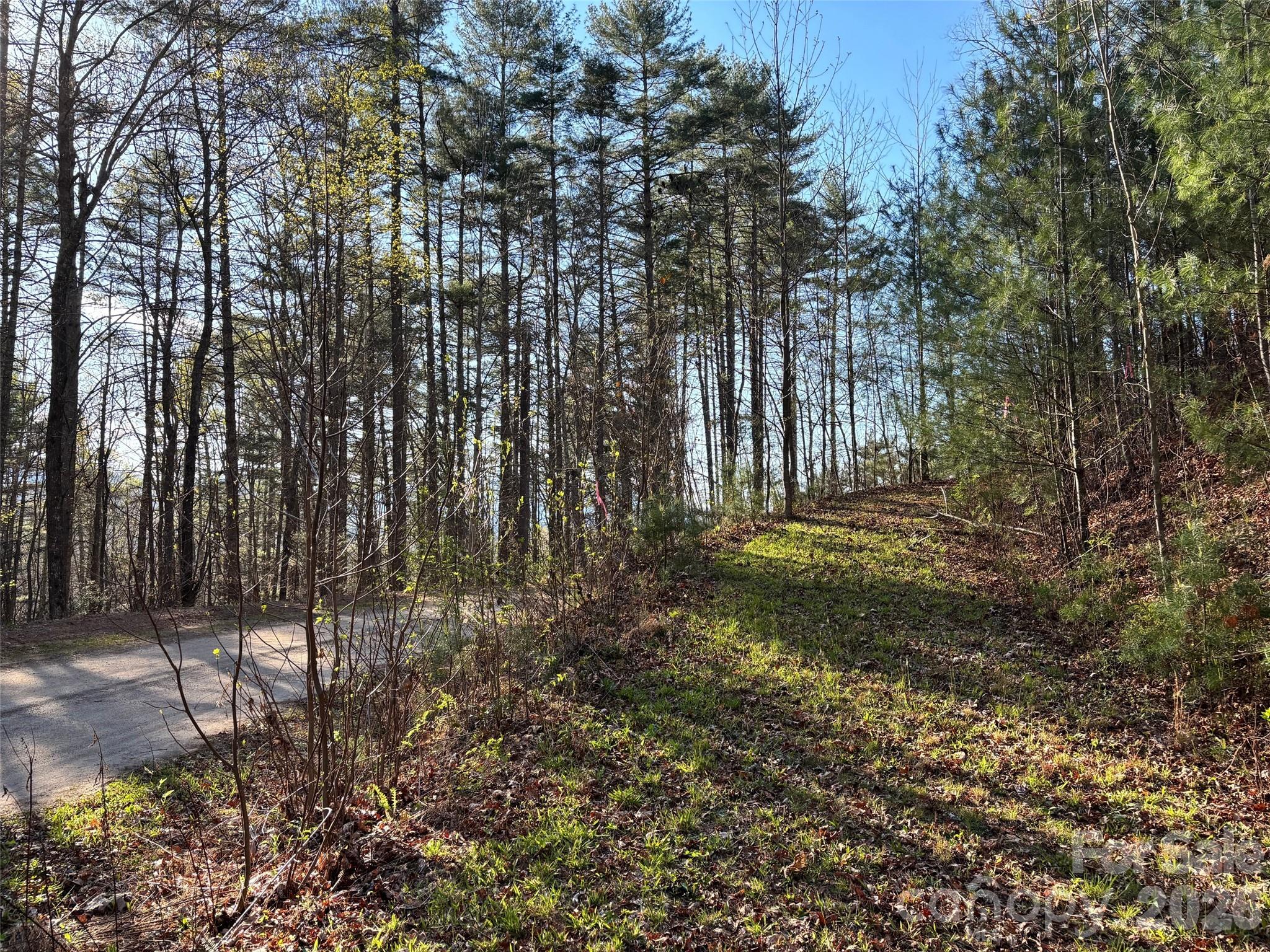 11 Wildlife Drive Clyde NC 28721