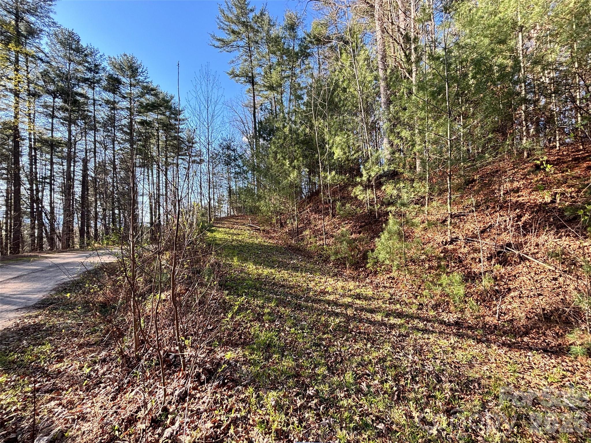 11 Wildlife Drive Clyde NC 28721