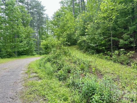11 Wildlife Drive Clyde NC 28721