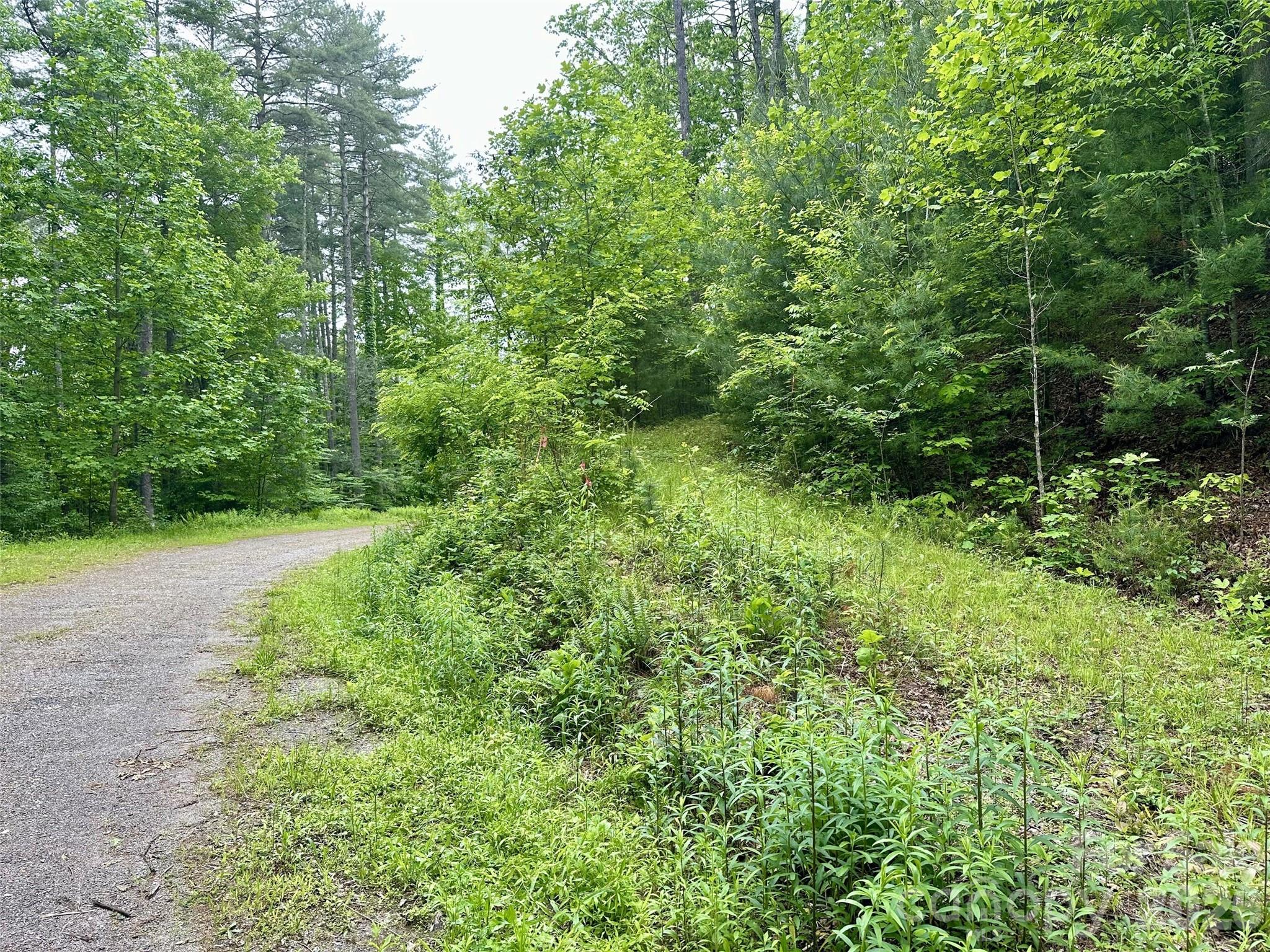 11 Wildlife Drive Clyde NC 28721