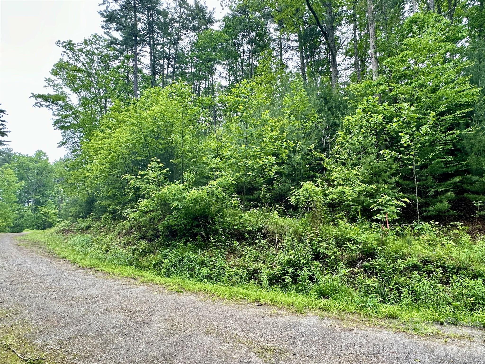 11 Wildlife Drive Clyde NC 28721