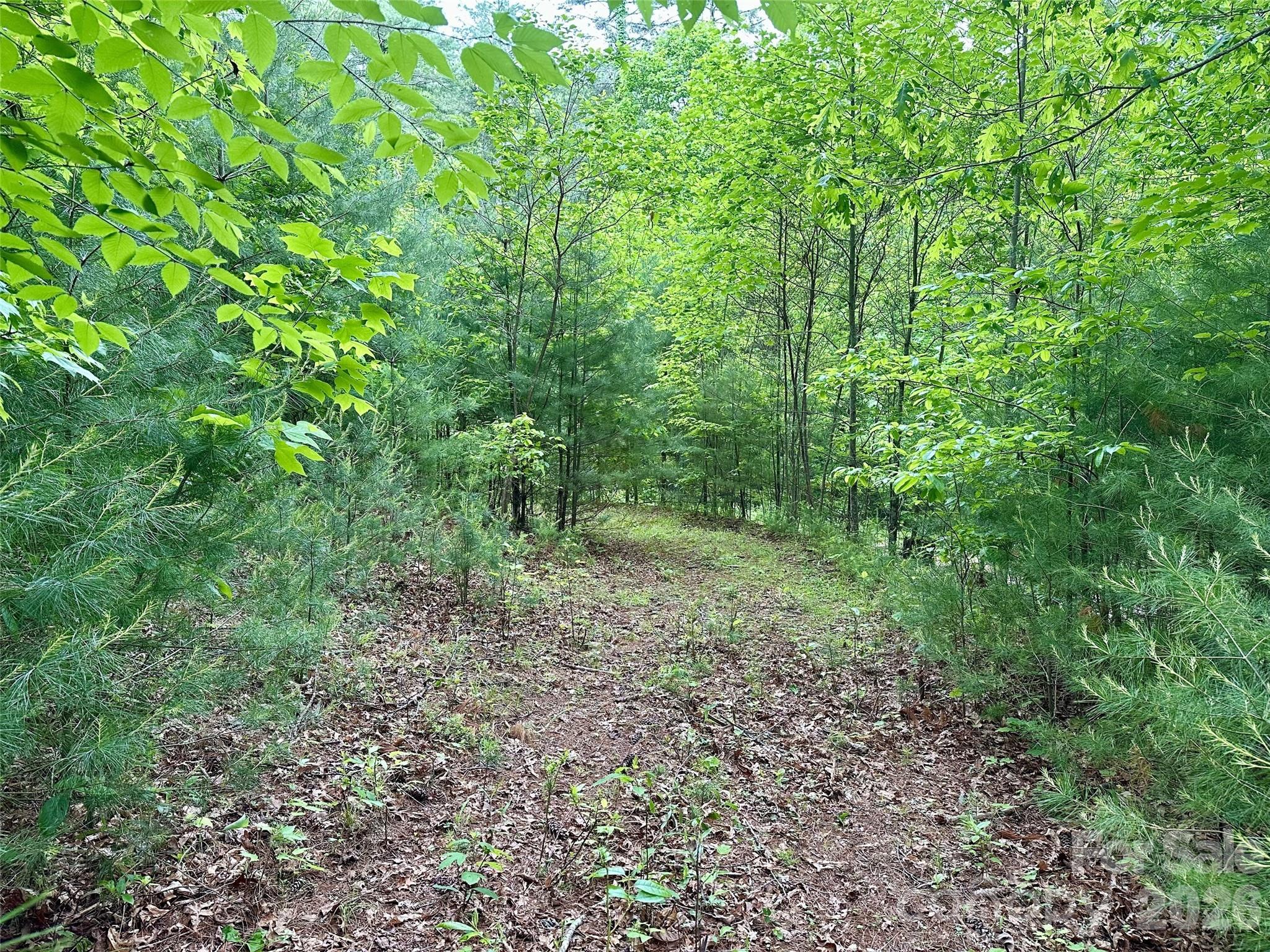 11 Wildlife Drive Clyde NC 28721