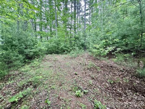 11 Wildlife Drive Clyde NC 28721