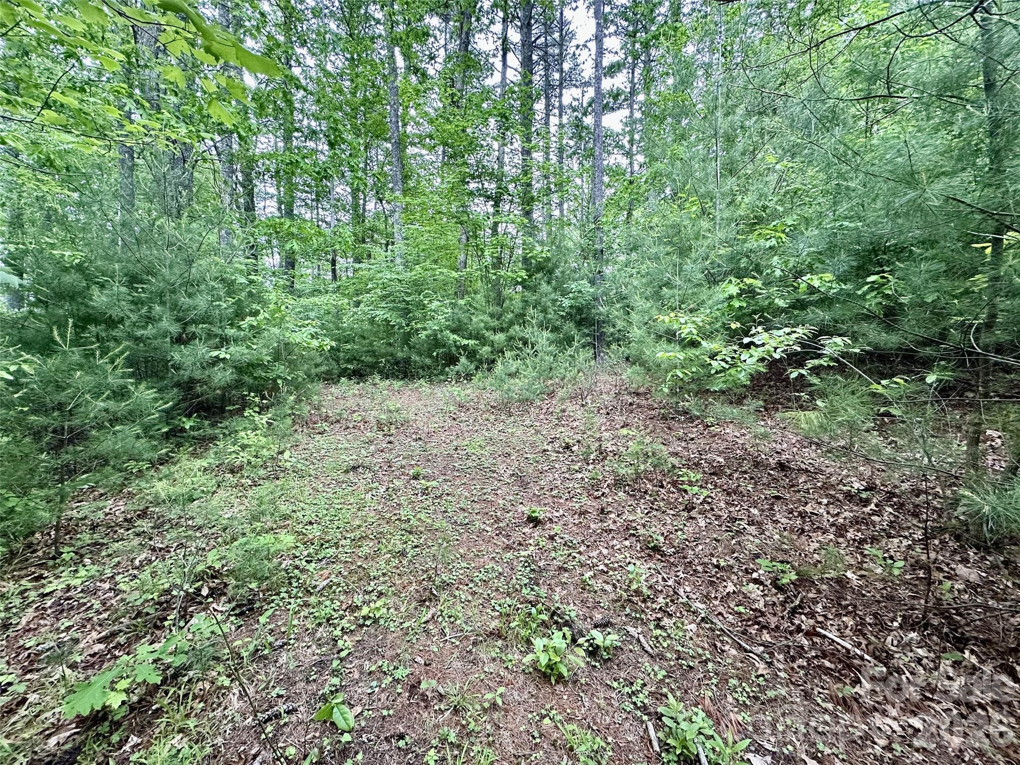 11 Wildlife Drive Clyde NC 28721