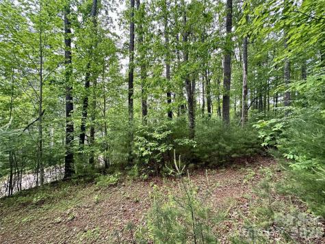11 Wildlife Drive Clyde NC 28721